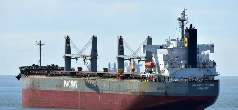 ATLANTIC TULUM Bulk Carrier IMO 9403035 photo 7