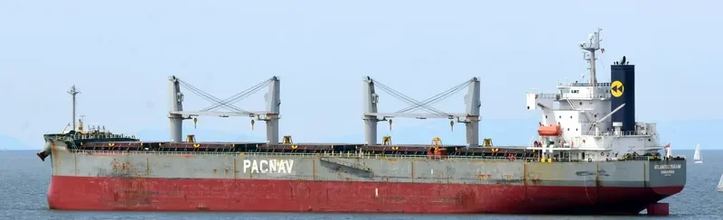 ATLANTIC TULUM Bulk Carrier IMO 9403035 photo 8
