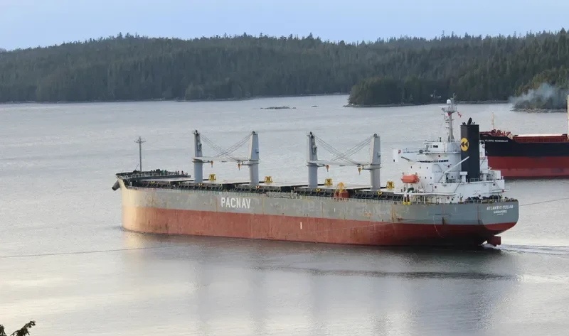 ATLANTIC TULUM Bulk Carrier IMO 9403035 photo 9