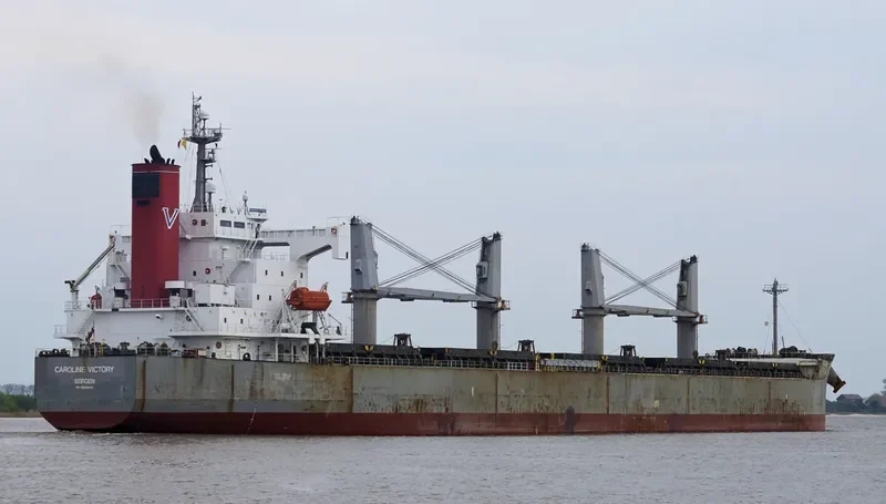 NEW VICTORY Bulk Carrier IMO 9403047 photo 3