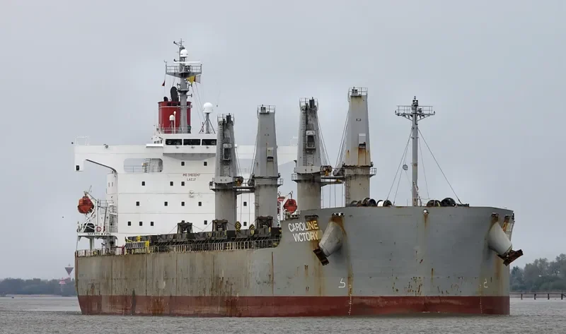 NEW VICTORY Bulk Carrier IMO 9403047 photo 5