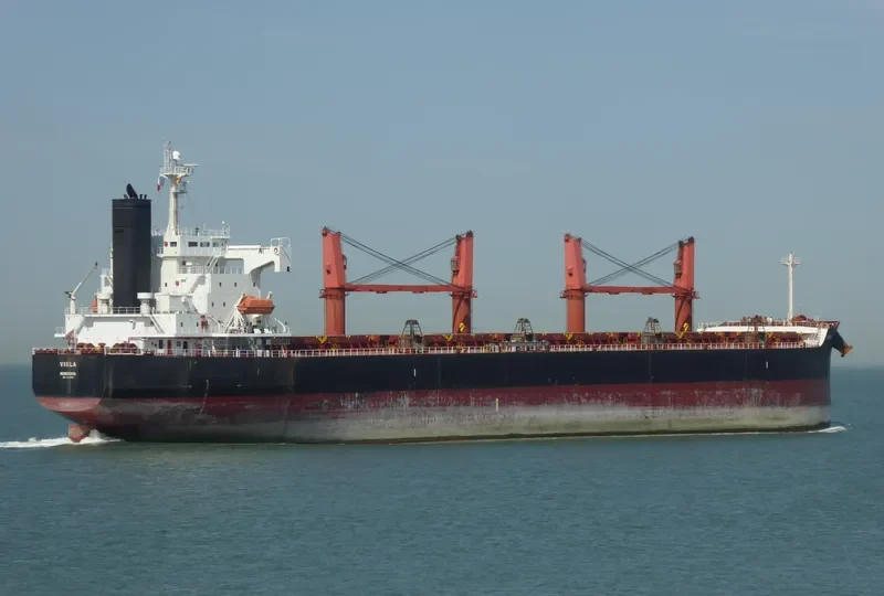 JIN RONG Bulk Carrier IMO 9403061 photo 9