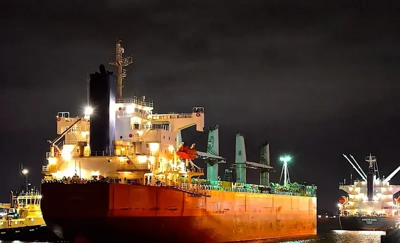 GLOBE CLEOPATRA Bulk Carrier IMO 9403085 photo 6