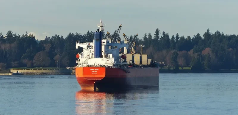 GLOBE CLEOPATRA Bulk Carrier IMO 9403085 photo 10