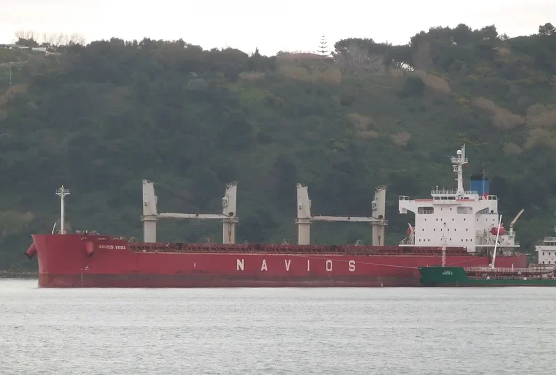 NAVIOS VEGA Bulk Carrier IMO 9403102 photo 4