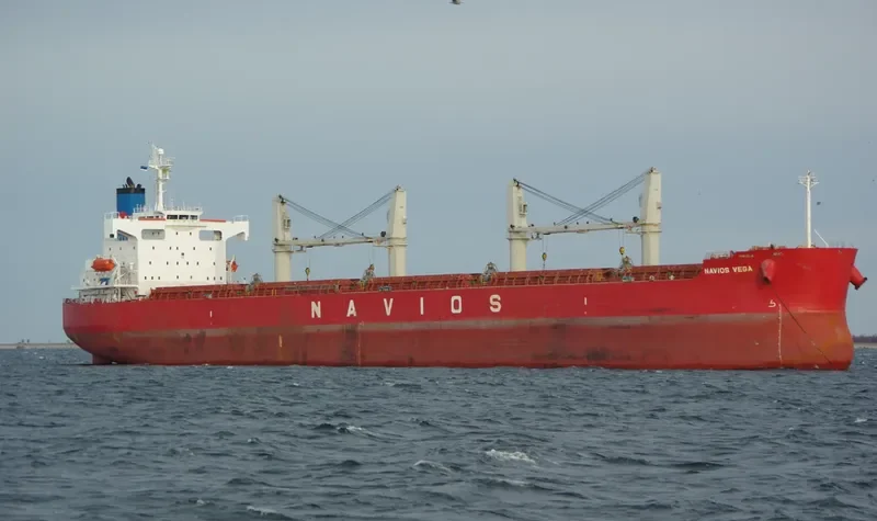 NAVIOS VEGA Bulk Carrier IMO 9403102 photo 9