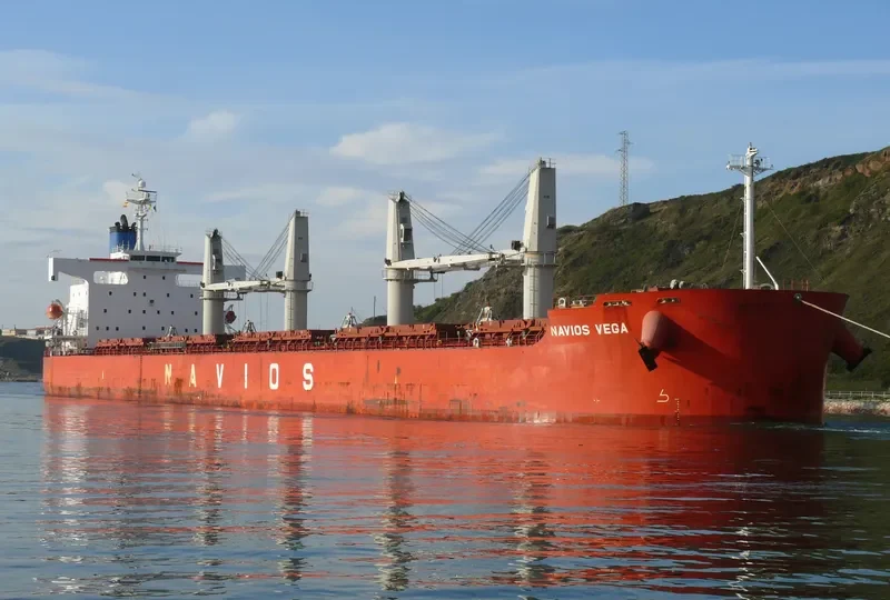 NAVIOS VEGA Bulk Carrier IMO 9403102 photo 10