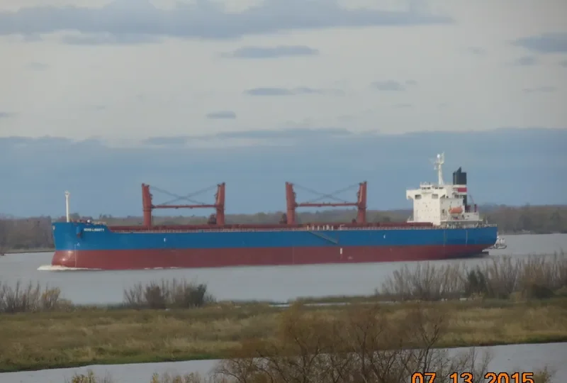 GLOBE TRINCO Bulk Carrier IMO 9403126 photo 7