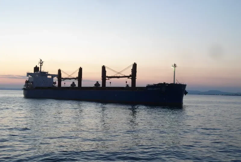 GLOBE TRINCO Bulk Carrier IMO 9403126 photo 8