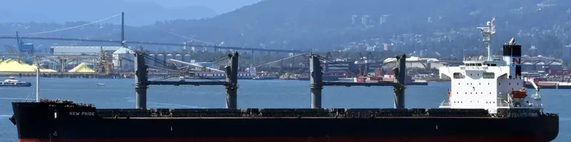 VIRONO PRIDE Bulk Carrier IMO 9403138