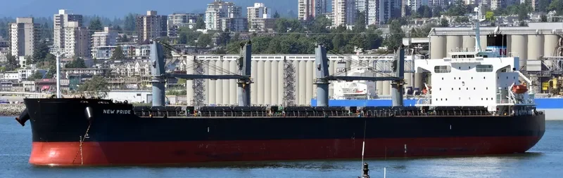 VIRONO PRIDE Bulk Carrier IMO 9403138 photo 2