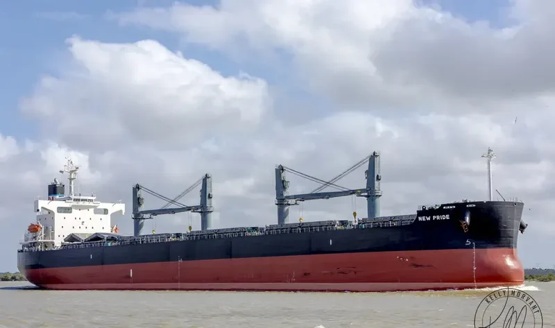 VIRONO PRIDE Bulk Carrier IMO 9403138 photo 6