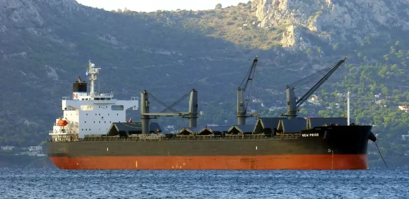 VIRONO PRIDE Bulk Carrier IMO 9403138 photo 7