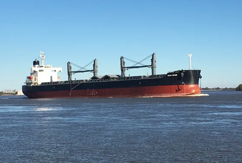VIRONO PRIDE Bulk Carrier IMO 9403138 photo 9