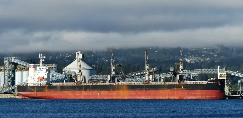 THOR CHAIYO Bulk Carrier IMO 9403140 photo 4