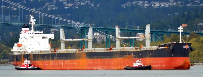 THOR CHAIYO Bulk Carrier IMO 9403140 photo 6