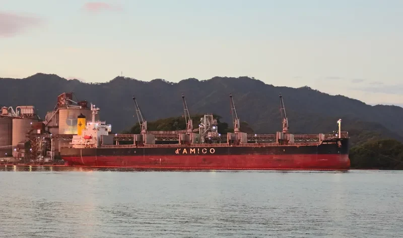 ARFIANIE AYU Bulk Carrier IMO 9403164