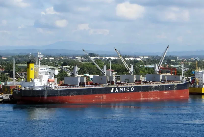 ARFIANIE AYU Bulk Carrier IMO 9403164 photo 4