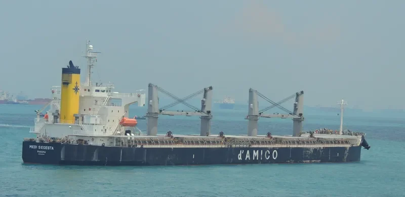ARFIANIE AYU Bulk Carrier IMO 9403164 photo 6