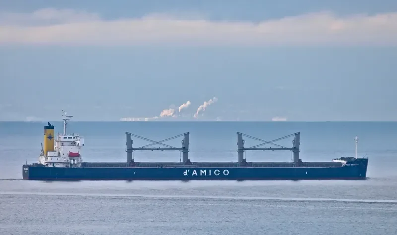 ARFIANIE AYU Bulk Carrier IMO 9403164 photo 10