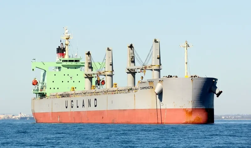 CARMENCITA Bulk Carrier IMO 9403176 photo 2