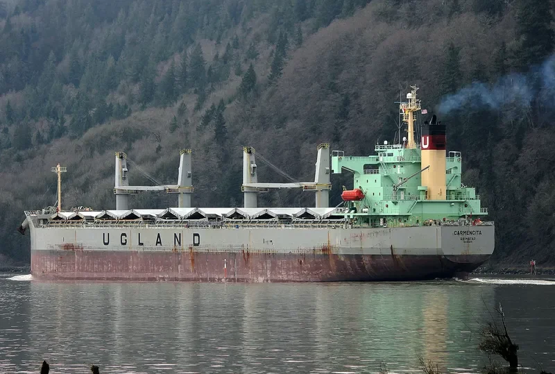 CARMENCITA Bulk Carrier IMO 9403176 photo 3
