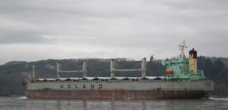 CARMENCITA Bulk Carrier IMO 9403176 photo 7