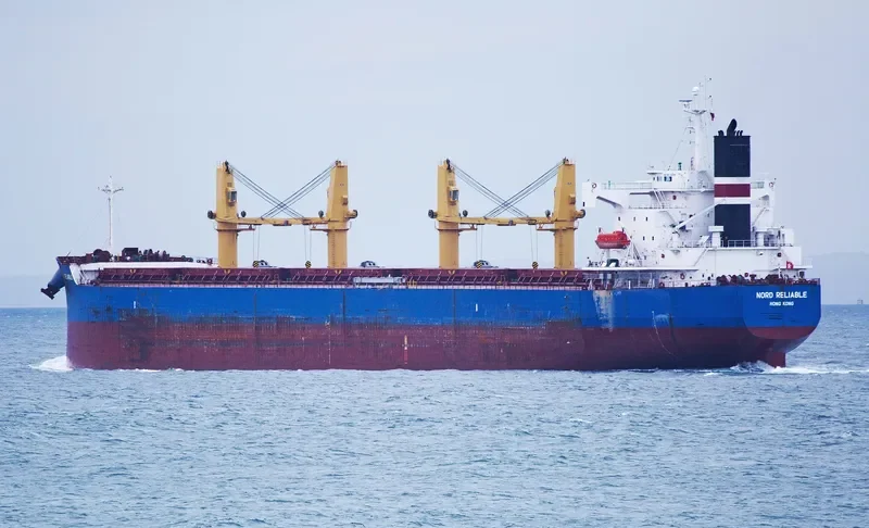 GLOBE PEGASUS Bulk Carrier IMO 9403188 photo 2