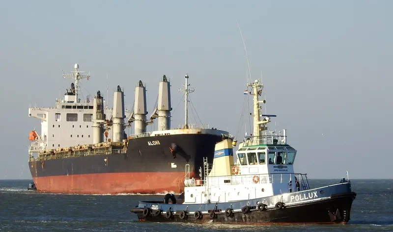 ALONI Bulk Carrier IMO 9403255
