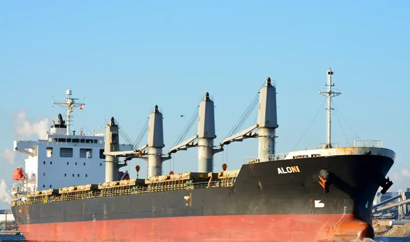 ALONI Bulk Carrier IMO 9403255 photo 3