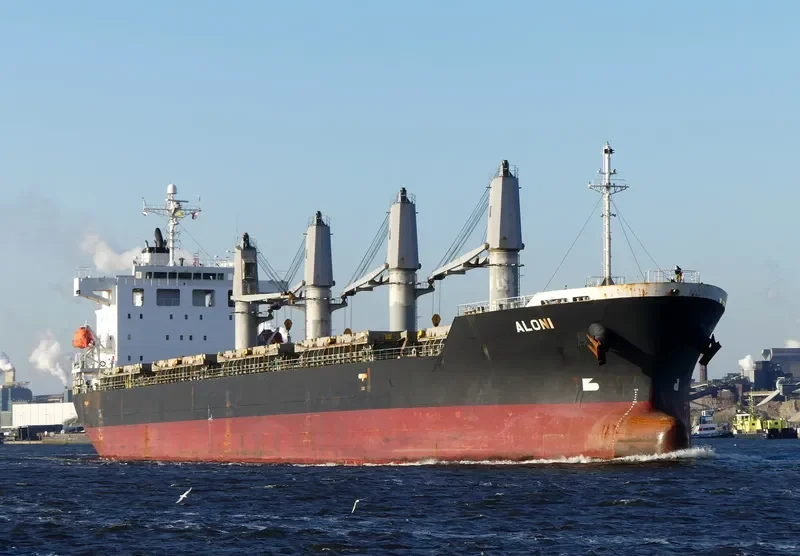 ALONI Bulk Carrier IMO 9403255 photo 7