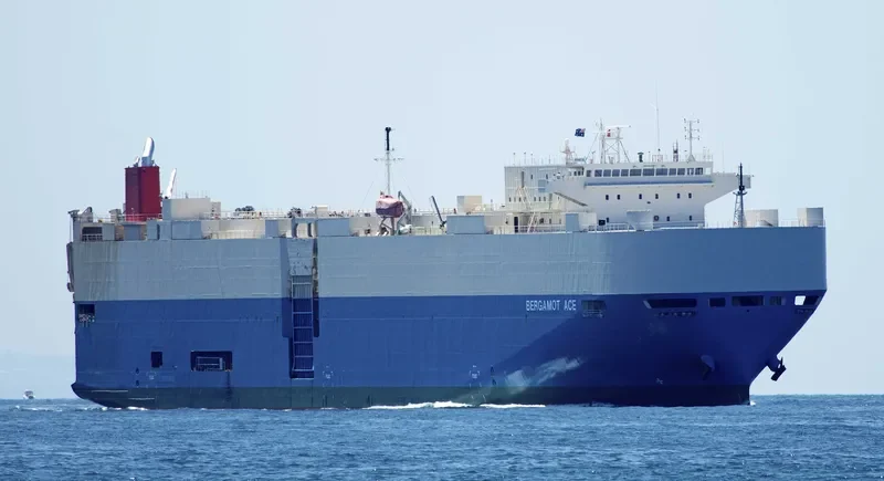 BERGAMOT ACE General Cargo IMO 9403281 photo 3