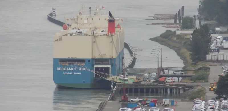 BERGAMOT ACE General Cargo IMO 9403281 photo 5