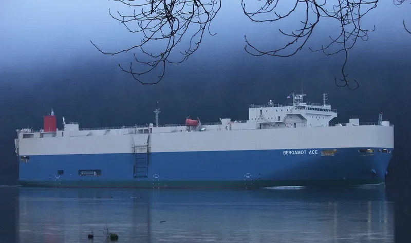 BERGAMOT ACE General Cargo IMO 9403281 photo 8