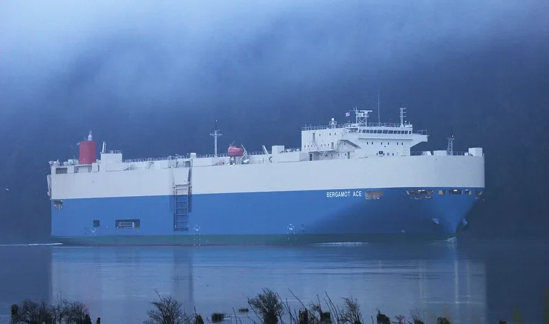 BERGAMOT ACE General Cargo IMO 9403281 photo 9