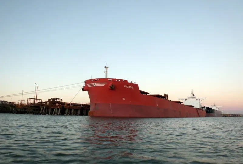 CHAMPIONSHIP Bulk Carrier IMO 9403516 photo 3