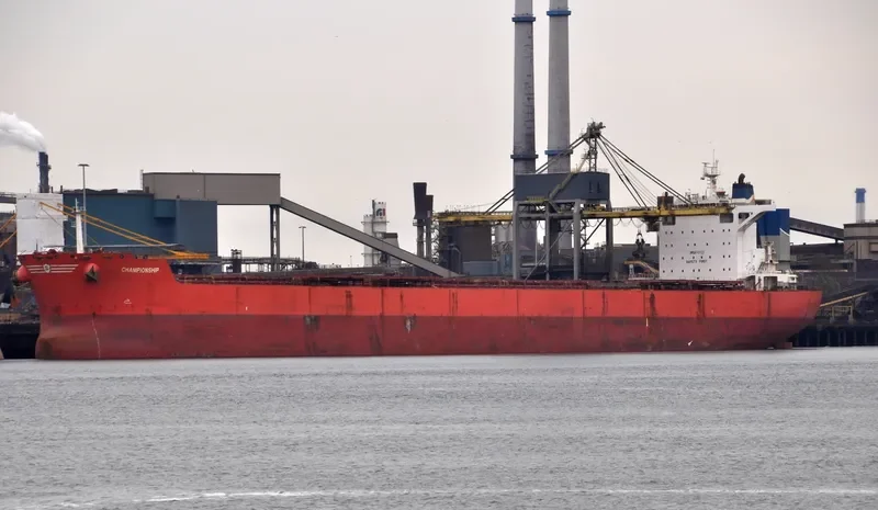 CHAMPIONSHIP Bulk Carrier IMO 9403516 photo 10