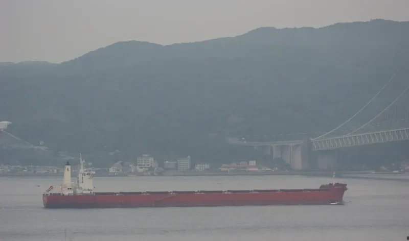 SPARTACUS Bulk Carrier IMO 9403528 photo 5