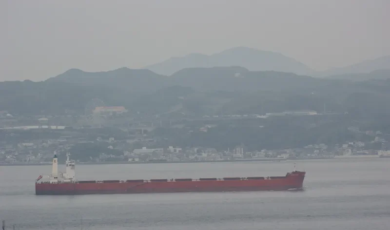 SPARTACUS Bulk Carrier IMO 9403528 photo 6