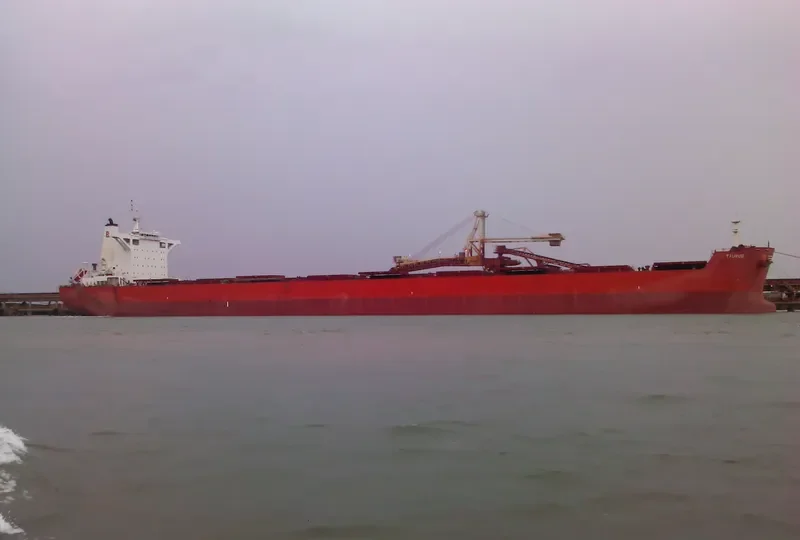 TAURUS Bulk Carrier IMO 9403530 photo 3