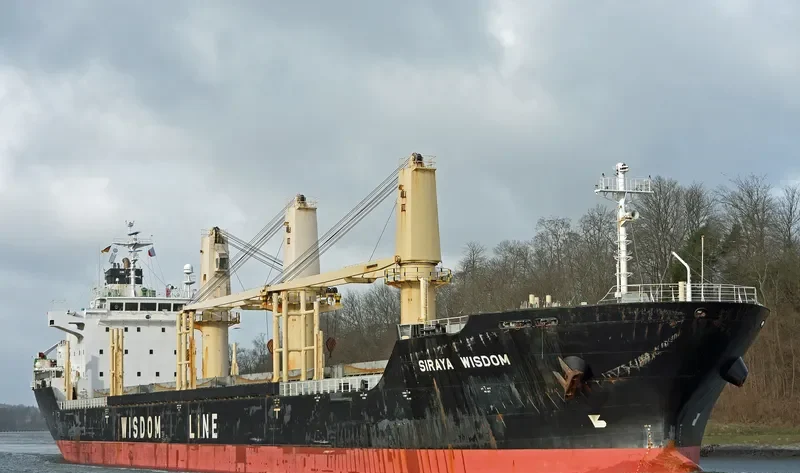 SIRAYA WISDOM Bulk Carrier IMO 9403841 photo 4