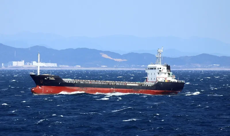 SJ ANGEL General Cargo IMO 9403889