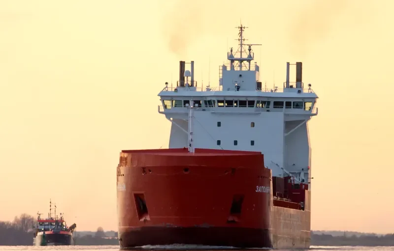 ZAPOLYARNYY Container Ship IMO 9404027 photo 7