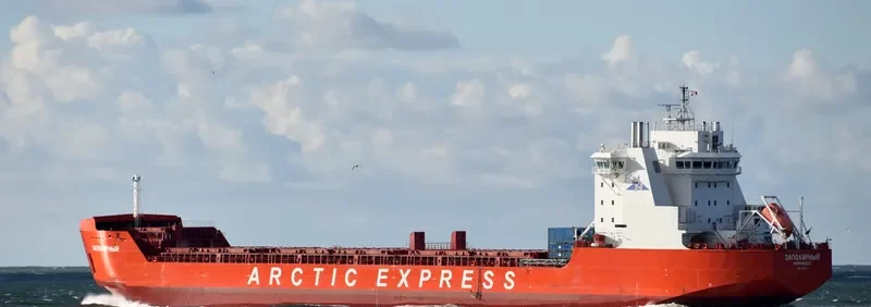 ZAPOLYARNYY Container Ship IMO 9404027 photo 9