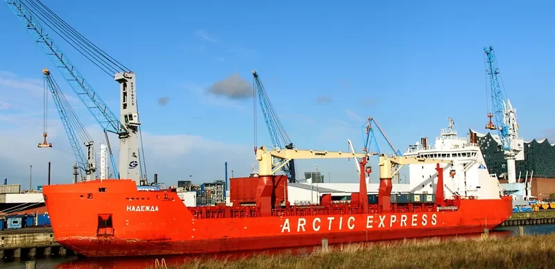 NADEZHDA Container Ship IMO 9404041
