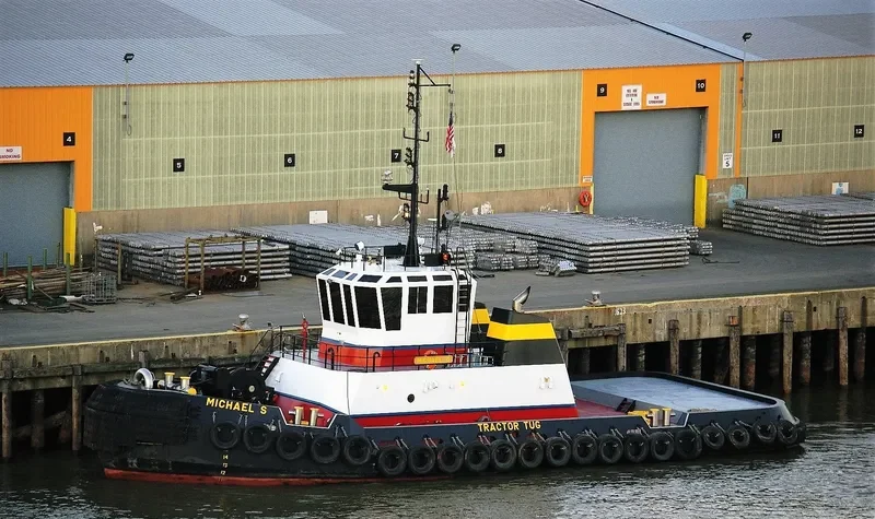 MICHAEL S General Cargo IMO 9404340 photo 3