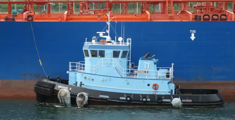 MICHAEL S General Cargo IMO 9404340 photo 7
