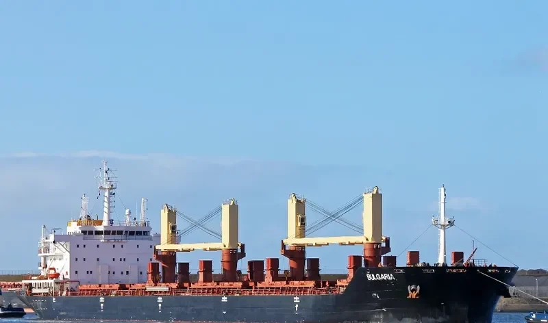 RODINA Bulk Carrier IMO 9404429 photo 8