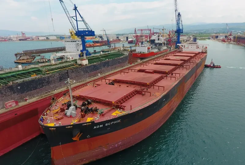 AOM SOPHIE Bulk Carrier IMO 9404766 photo 4