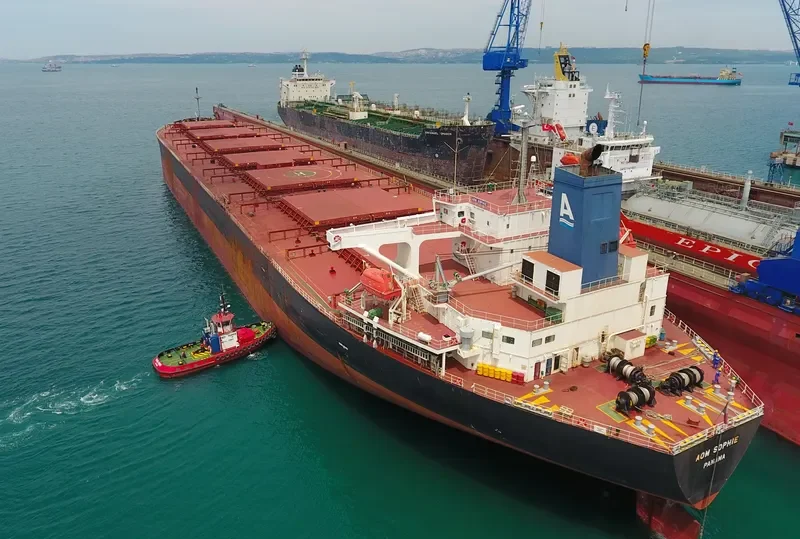 AOM SOPHIE Bulk Carrier IMO 9404766 photo 5